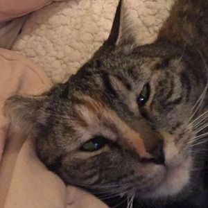 Meet your Posher, Meaghan